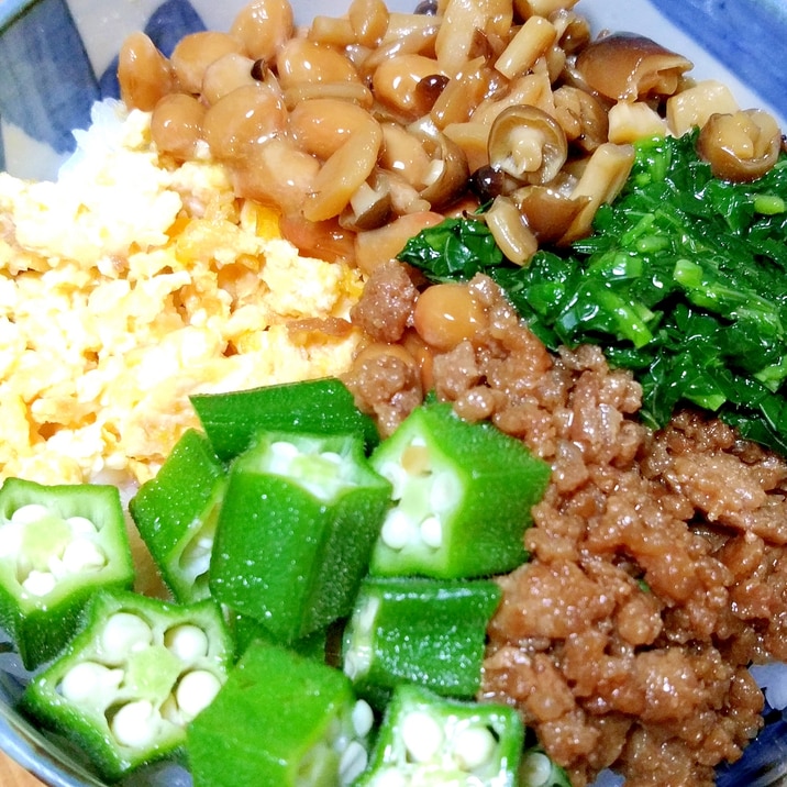スタミナたっぷり☆6種のネバネバそぼろ丼♪